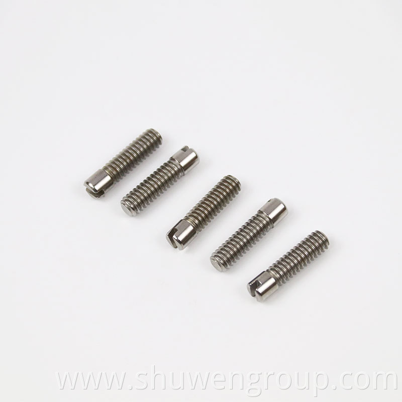 Customized Stainless Steel Screws